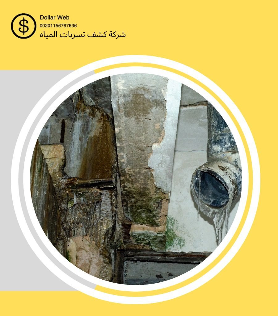 كشف تسربات حي المروج بالرياض