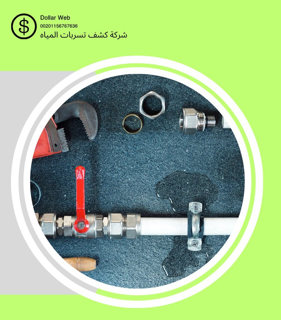 كشف تسربات حي الربيع بالرياض