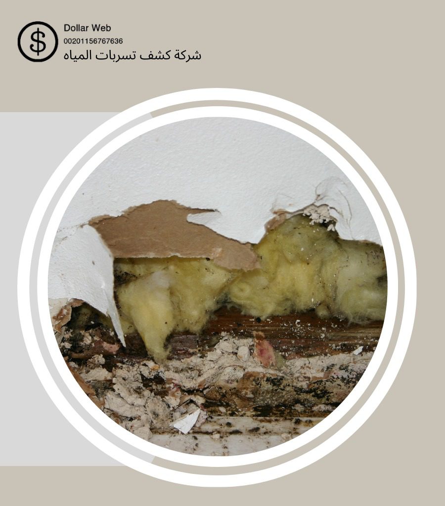 كشف تسربات حي الفواز بالرياض